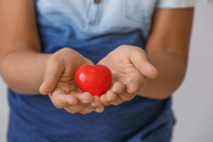 A young child with a blue shirt holding a red heart in his hands.
