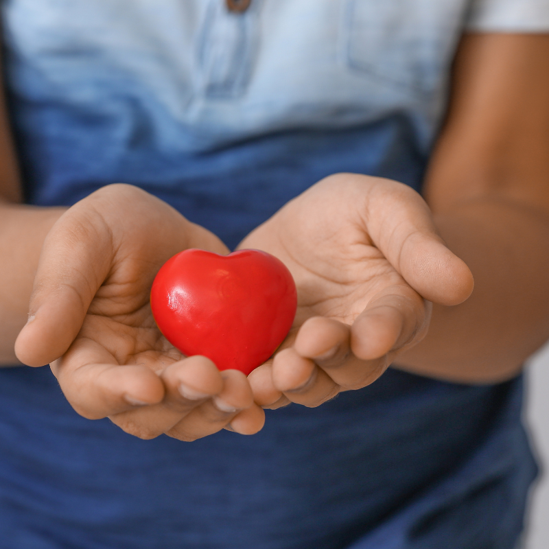 A young child with a blue shirt holding a red heart in his hands.